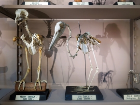 prirodoslovni muzej ljubljana 7-2023 9127